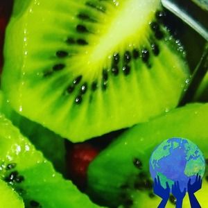 Meet your Posher, Nova